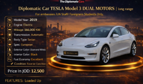 Tesla Model 3 2019